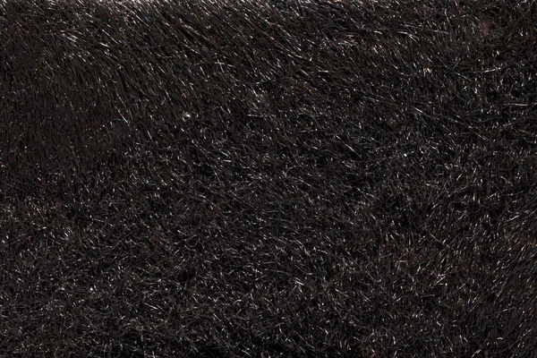 Natural fur texture background in hight resolution