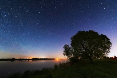 Nehir kıyısında, gökyüzünde büyük bir ağaç ve samanyolu ve yazın düşen yıldızlarla büyülü bir yıldızlı gece..