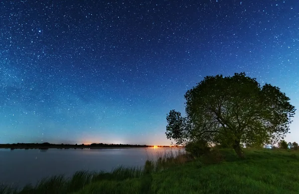 Nehir kıyısında, gökyüzünde büyük bir ağaç ve samanyolu ve yazın düşen yıldızlarla büyülü bir yıldızlı gece..