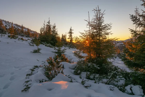 夜のピークの美しい景色を持つウクライナのカルパティアの雪の冬の山脈の観光客を旅行 — ストック写真