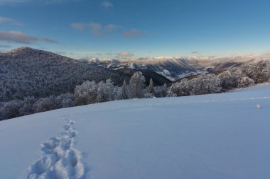 Dağlık vadilerde harika bir sabah Ukrayna Karpatları 'nda evleri var..