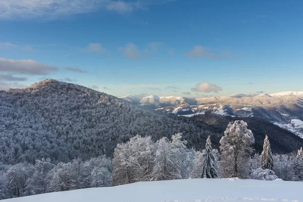 Maravillosa Mañana Los Valles Montañosos Con Casas Los Cárpatos Ucranianos — Foto de Stock