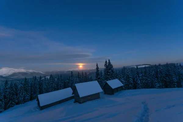 Çadırları olan turistlerin arka planında parlak Samanyolu ile uzay yıldızlı geceler.