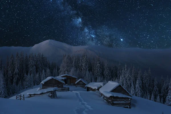 Çadırları olan turistlerin arka planında parlak Samanyolu ile uzay yıldızlı geceler.