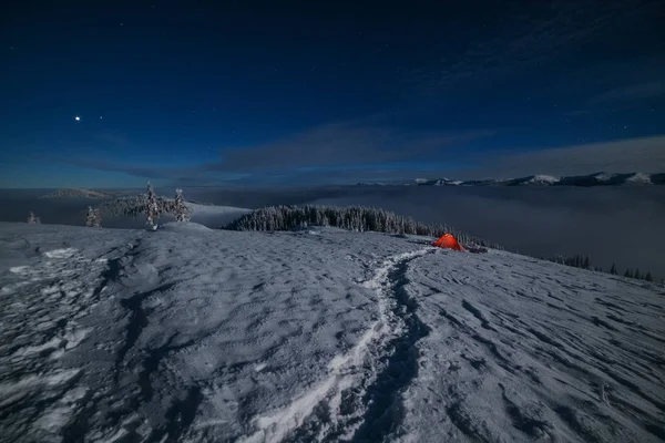 Çadırları olan turistlerin arka planında parlak Samanyolu ile uzay yıldızlı geceler.