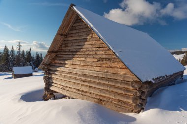 Karpatlar 'da bir dağ vadisinde karla kaplı büyüleyici evler, kışın muhteşem zirveler..