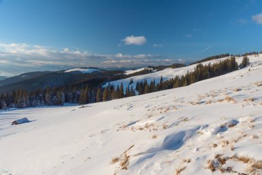 Karpatlar 'da bir dağ vadisinde karla kaplı büyüleyici evler, kışın muhteşem zirveler..