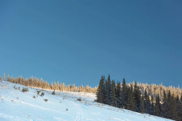 카르파티아 계곡에 눈덮인 겨울에는 산봉우리들의 모습을 보여준다 — 스톡 사진