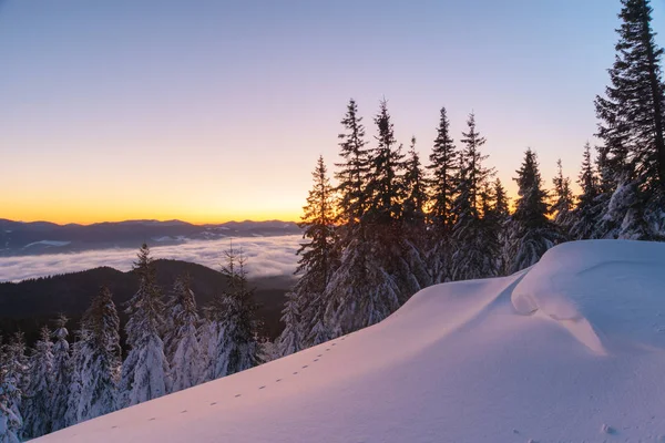 Montañas Paisajes Invernales Cárpatos — Foto de Stock