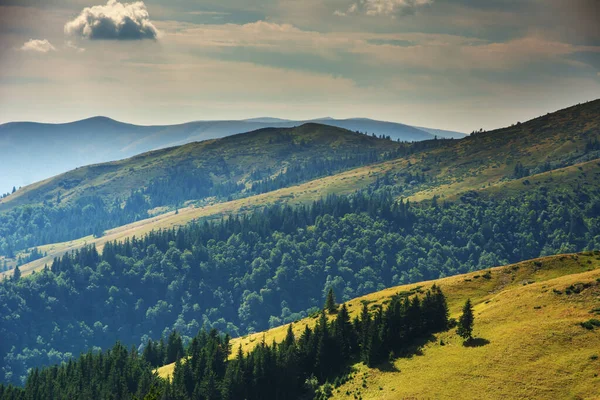 Verano Los Cárpatos Ucranianos Con Hermosos Paisajes Montaña —  Fotos de Stock