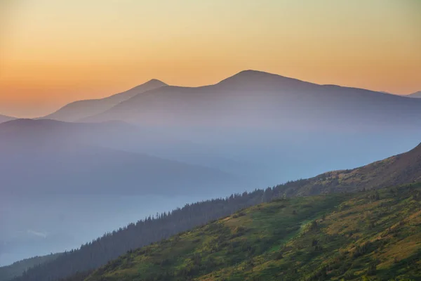Güzel Dağ Manzaralı Ukrayna Karpatları Nda Yaz Mevsimi — Stok fotoğraf