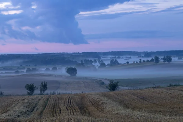 Evening fog over the fields. Agricultural landscape in eastern Lithuania.