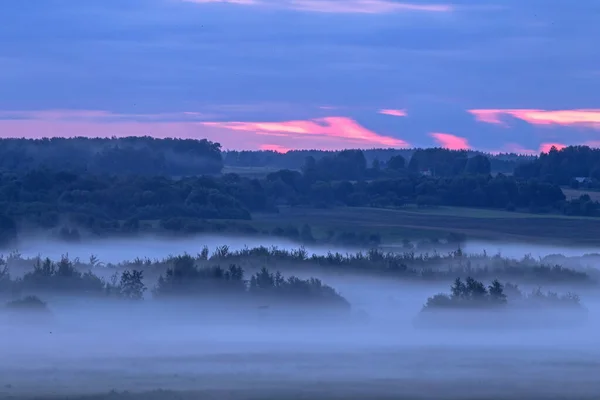 Abendnebel Über Den Feldern Agrarlandschaft Osten Litauens Stockbild