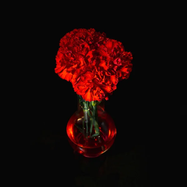 carnations in vase, close up