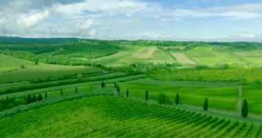 Toscana bağ ve manzara manzara yukarıda uçan.