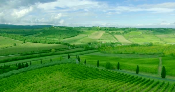 Vliegen boven de wijngaard en het landschap landschap Toscana. — Stockvideo