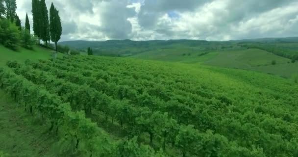 Vista aérea da vinha da Toscana. Voando sobre linhas de vinhedos . — Vídeo de Stock