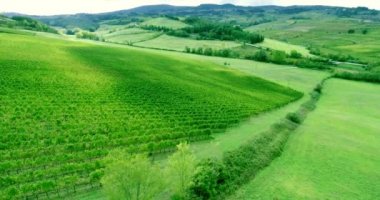 Hava bağ satır Panoraması.