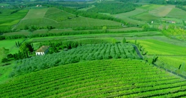 イタリアのブドウ園、トスカーナの風景や家の空撮. — ストック動画