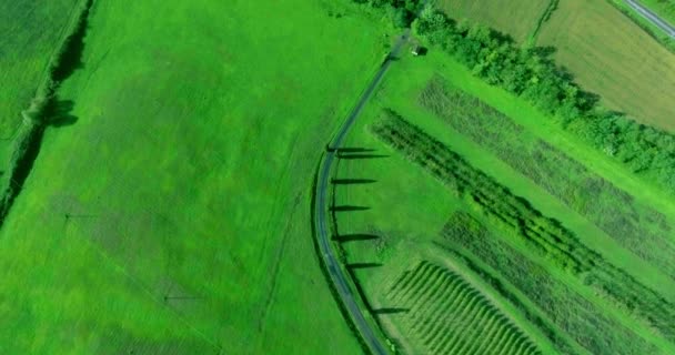 Paisagem da vinha da Toscana tiro de inclinação aérea . — Vídeo de Stock