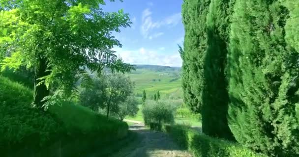 Vuelo aéreo a través de un pintoresco callejón de cipreses italianos a las colinas vista . — Vídeo de stock