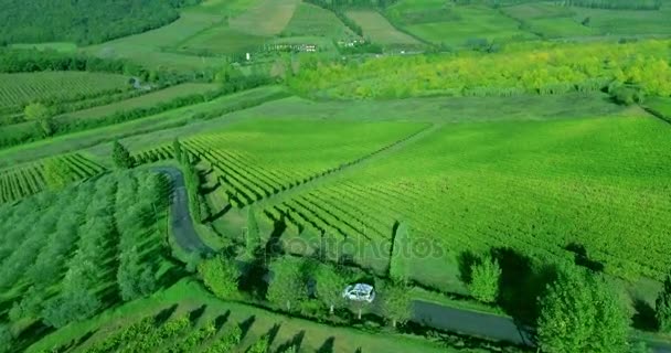 Vuelo sobre hileras de viñedos en Toscana a verdes colinas. Un pequeño coche blanco conduce por el camino . — Vídeos de Stock