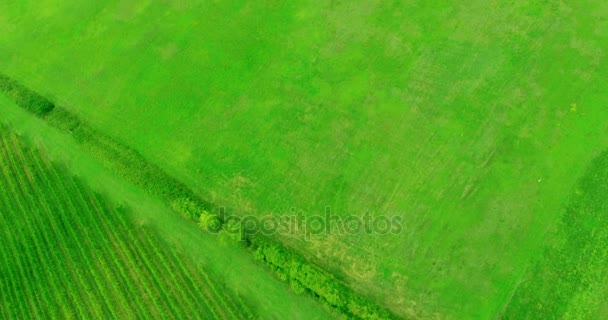 Lenta inclinación aérea de la típica vista del paisaje toscano . — Vídeos de Stock