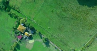 Yemyeşil yeşil alanları ve çayırlar üzerinde bir çok çarpıcı hava atış