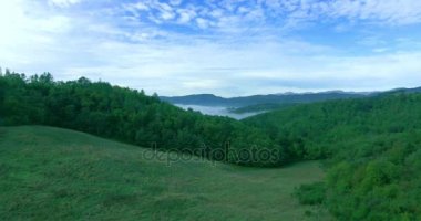 Uçuş güzel çayırlar, yeşil alanlar, sisli orman. Aeria