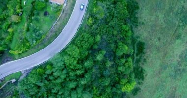 Orman yolu havadan vuruşta arabayı taşır. Yukarıdan görüntüleyin