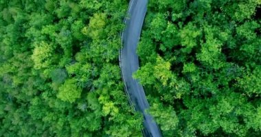 Orman yolu. Kayan bir helikopter ile sürüş extreme. Top vie