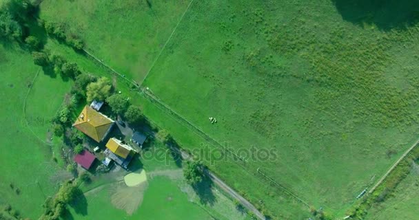 Atemberaubende Luftaufnahme über saftig grüne Felder und Wiesen in weiter — Stockvideo