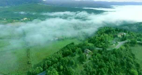 航空相机拍摄雾绿色的森林和池塘那边。飞行 ov — 图库视频影像