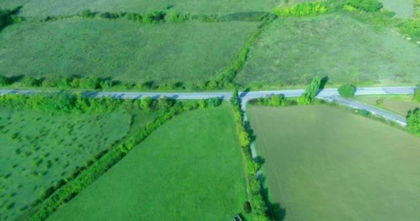 Flygande kameran skott. Forest road, fält och skog i sommar. En — Stockvideo