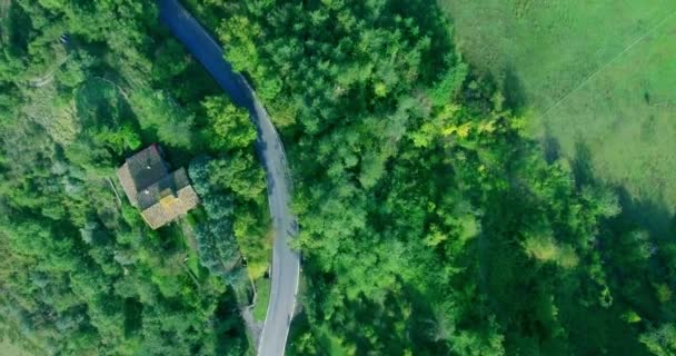 Tiro aéreo. Estrada desabitada na floresta. Estrada no meio — Vídeo de Stock