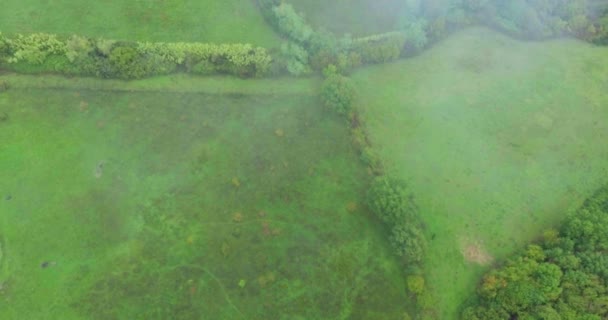 Campo típico Agricultura Paisagem Vintage Itália Europa, Fotografia aérea, Tiro de baixo para cima — Vídeo de Stock