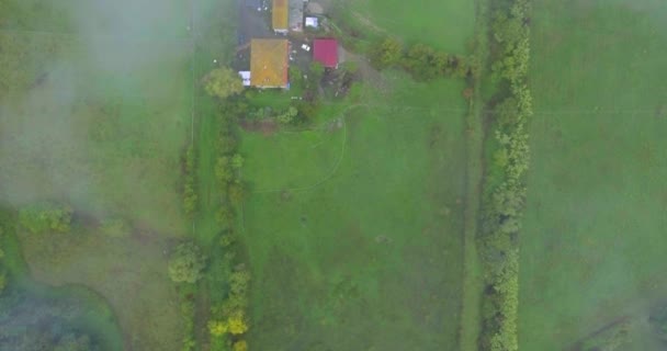 Campagne typique en Italie, le champ et la forêt en été dans le brouillard par temps pluvieux. Prise de vue aérienne, prise de vue depuis un hélicoptère — Video