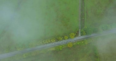 Köy yolunda İtalya, alan ve yaz aylarında sis yağmurlu havalarda ormanda. Boş bir düz yolda araba olmadan. Hava atışı