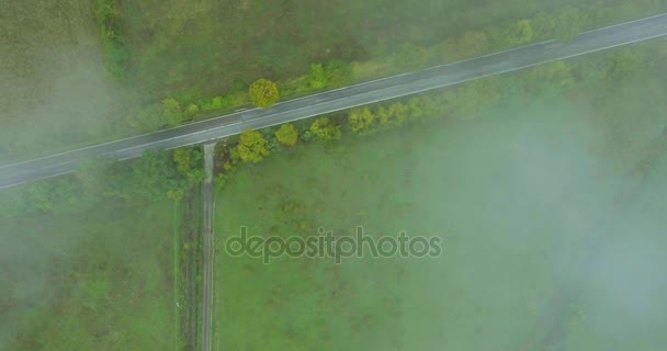 航空カメラで撮影します。ヨーロッパ、フィールド、夏の森の田舎道。空のストレート森林道路、車、上からの眺め — ストック動画