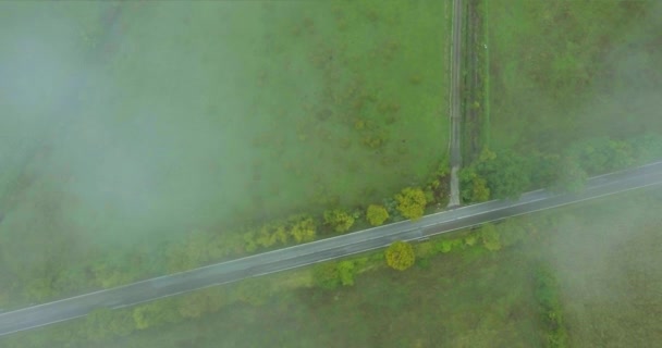 Strada di campagna per l'Italia, campo e bosco in estate nella nebbia in caso di pioggia. Una strada diritta vuota senza auto. Colpo aereo — Video Stock