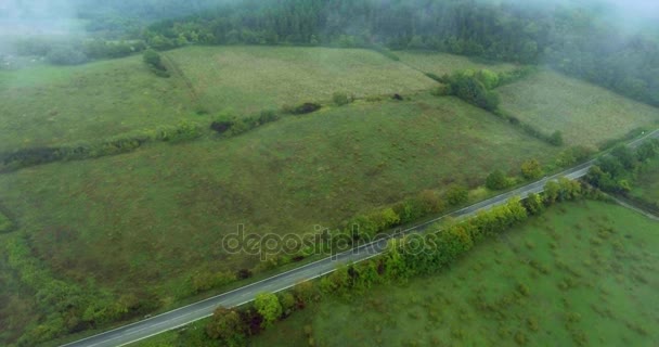 Vista panoramica sulla tipica campagna italiana, il campo e la foresta in estate nella nebbia in caso di pioggia. Colpo aereo, tiro dall'elicottero — Video Stock