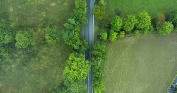 Camino en Toscana. Autopista suburbana europea. Un disparo aéreo. Espesuras densas de árboles verdes a lo largo de la carretera — Vídeo de stock