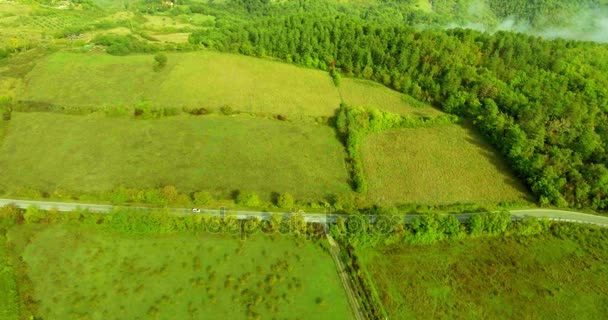 Panoramatický pohled shora na lesní cestě, polí a lesů, auto se pohybuje po silnici. Letecký snímek. — Stock video