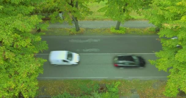 Carretera con coches en movimiento en una zona de parque forestal, un peatón está caminando en la acera. plano aéreo, vista superior — Vídeos de Stock