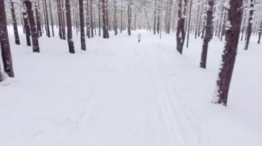 Beyaz snowdrifts ve tüylü firs hava atış ile bir kış ormandaki bir yol boyunca etkin kız yürüyor