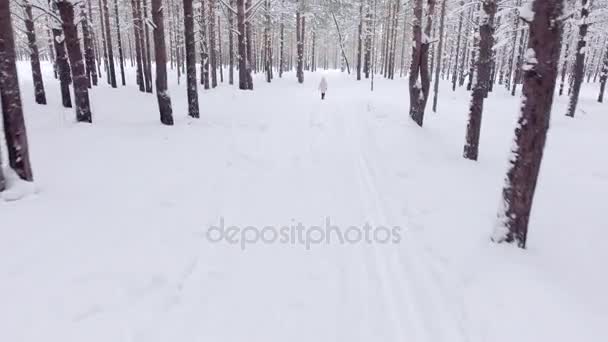 Fille active marche le long d'un chemin dans une forêt d'hiver avec des dérives de neige blanche et des sapins à fourrure plan aérien — Video