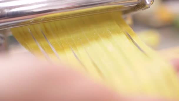 Закрыть свежую пасту из машины для приготовления пасты, которая делает много свежих спагетти — стоковое видео