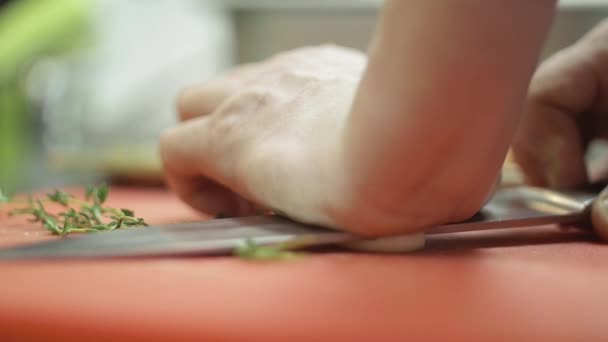 Knoblauchzehe wird mit einer Messerklinge in Großaufnahme auf dem Küchentisch zerkleinert, Zeitlupe — Stockvideo