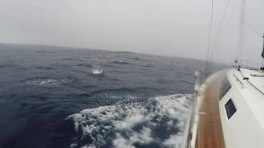 Yat yelken bulutlu havalarda büyük köpüklü deniz dalgaları aracılığıyla. Yunuslar yat yüzme. POV