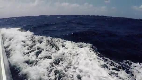Perjalanan yang indah di sebuah kapal pesiar di laut biru tak berujung. Istirahat aktif, olahraga ekstrim. POV — Stok Video